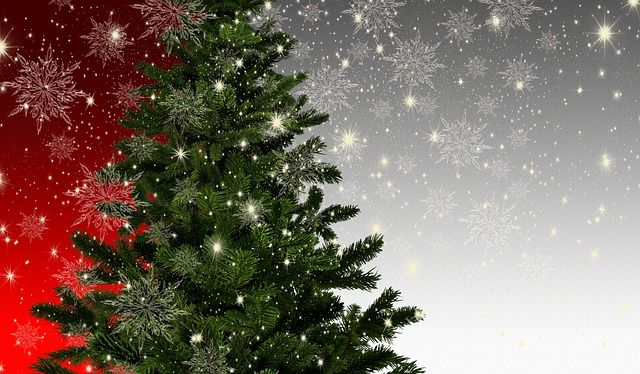 Weihnachtsbaum für Lindau